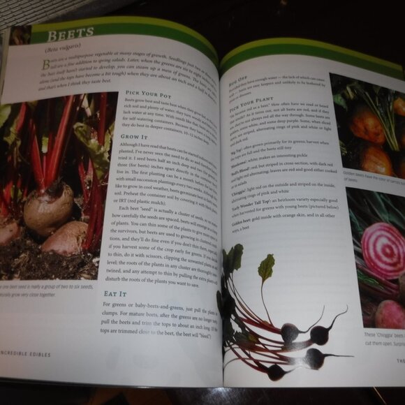 TWO GARDENING BOOKS FOR CONTAINER GARDENING - Picture 3 of 4